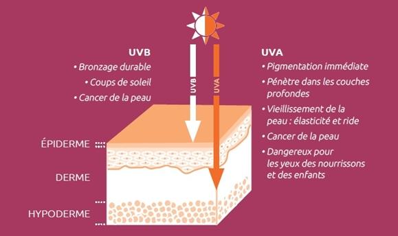 UVA et UVB