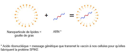 vaccin 2